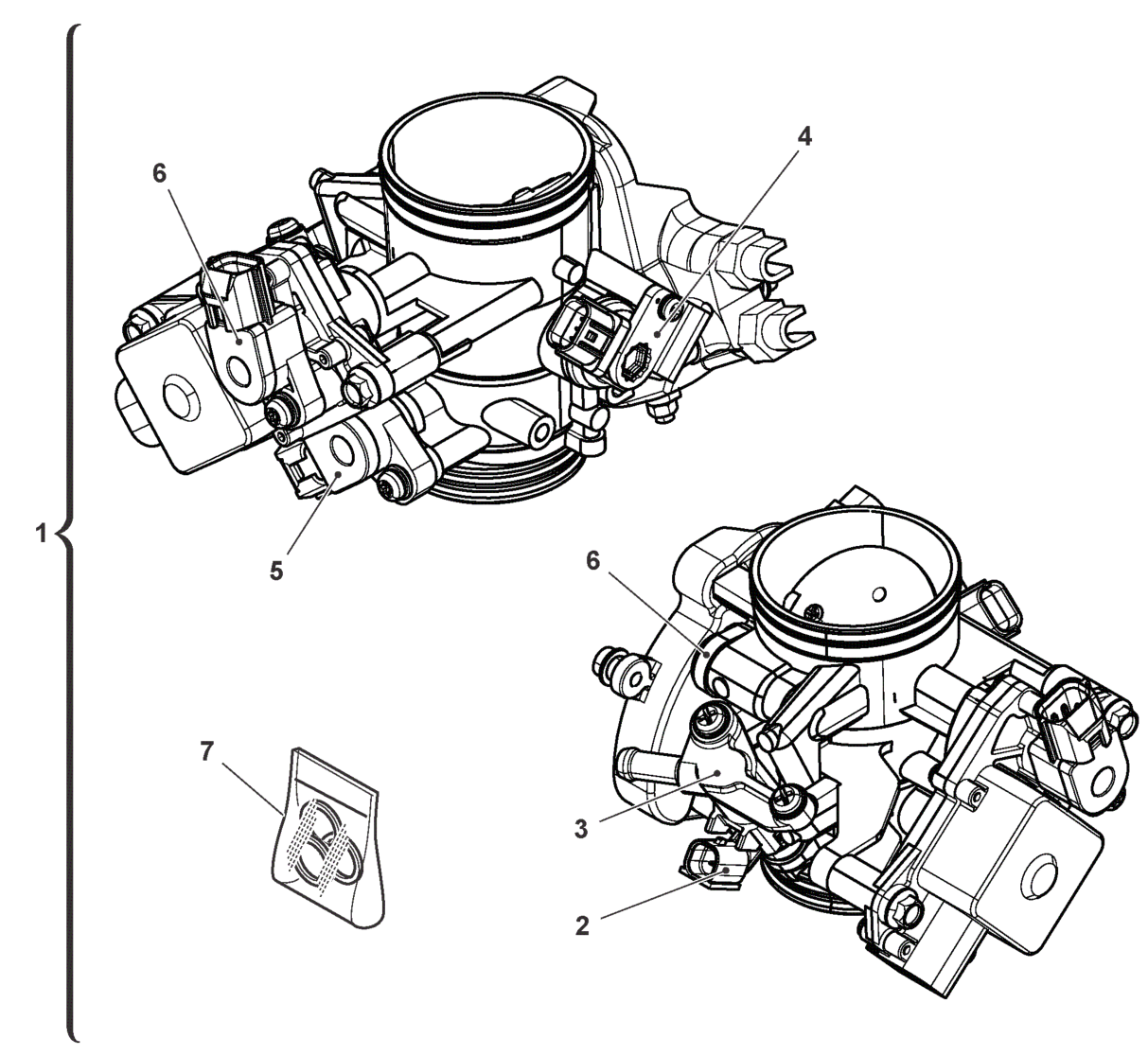 THROTTLE BODY