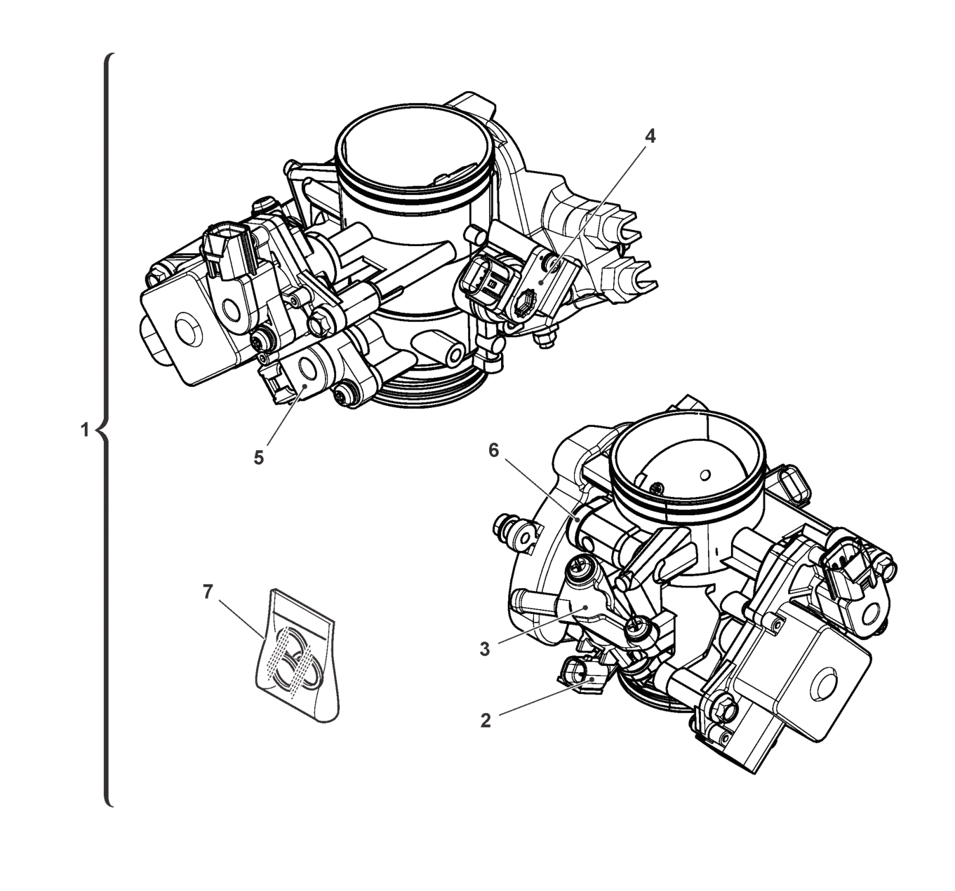 THROTTLE BODY