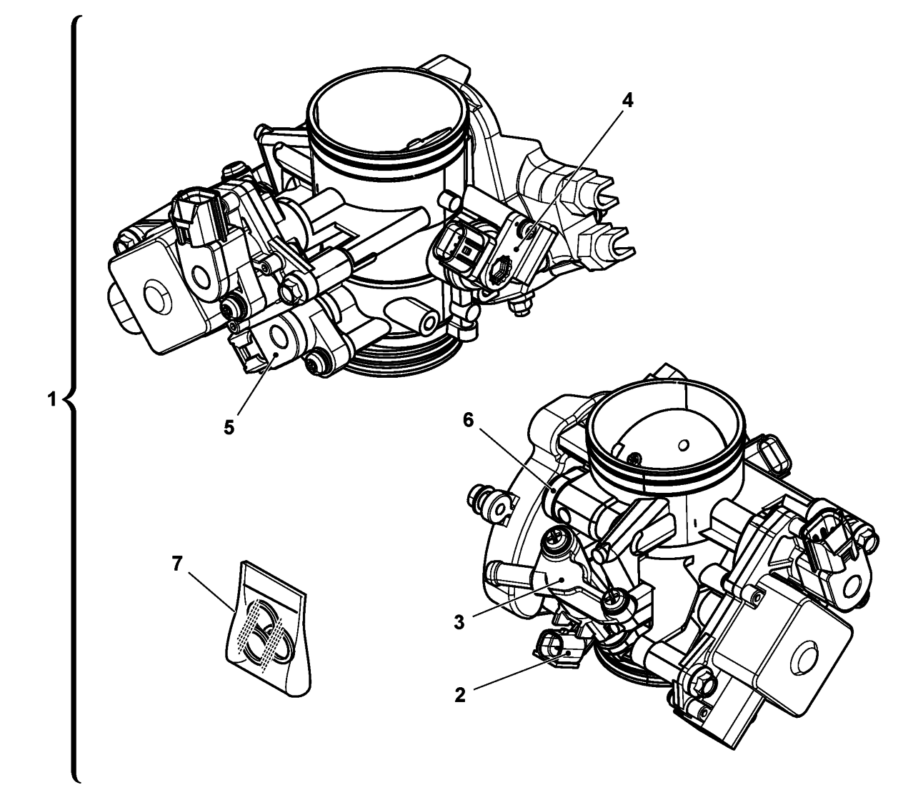 THROTTLE BODY