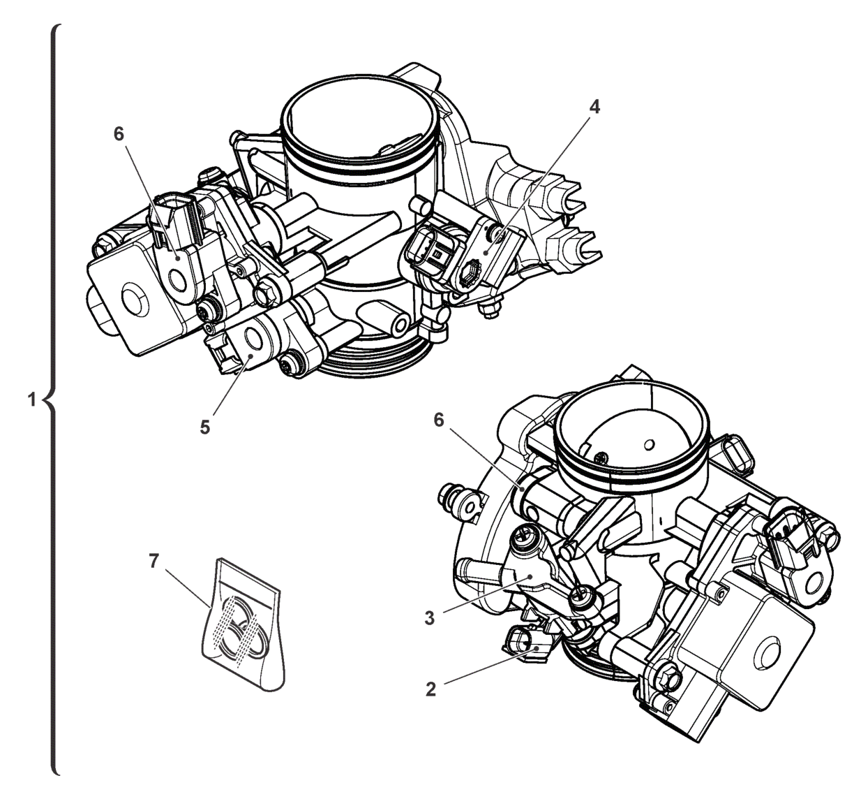 THROTTLE BODY